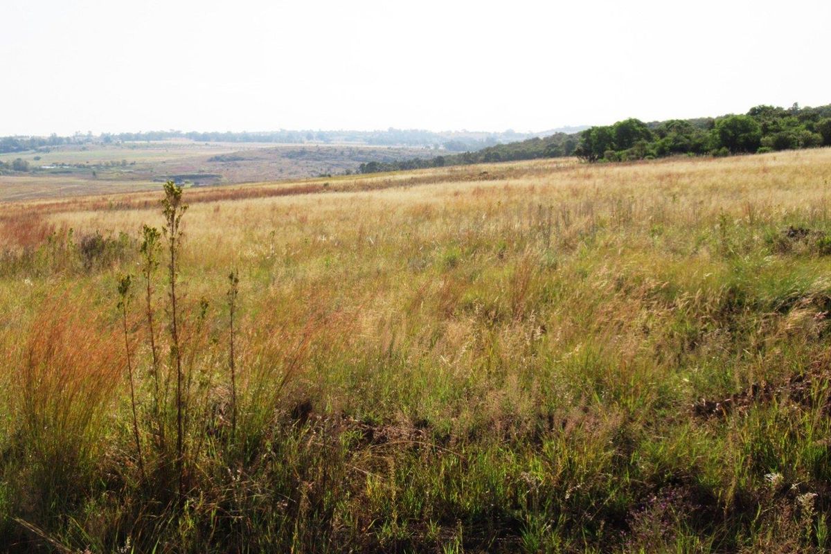 Farm For Sale in Cullinan Rural, Cullinan - Photo 2