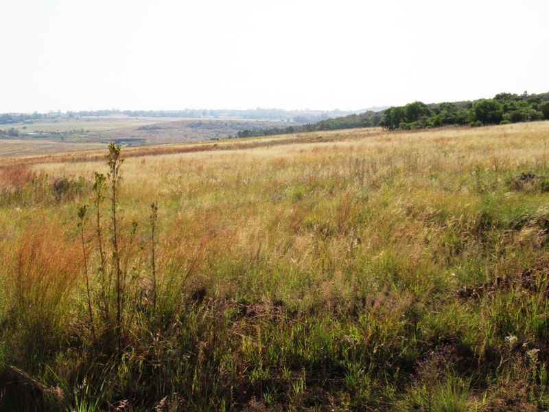 Farm For Sale in Cullinan Rural, Cullinan - Photo 2