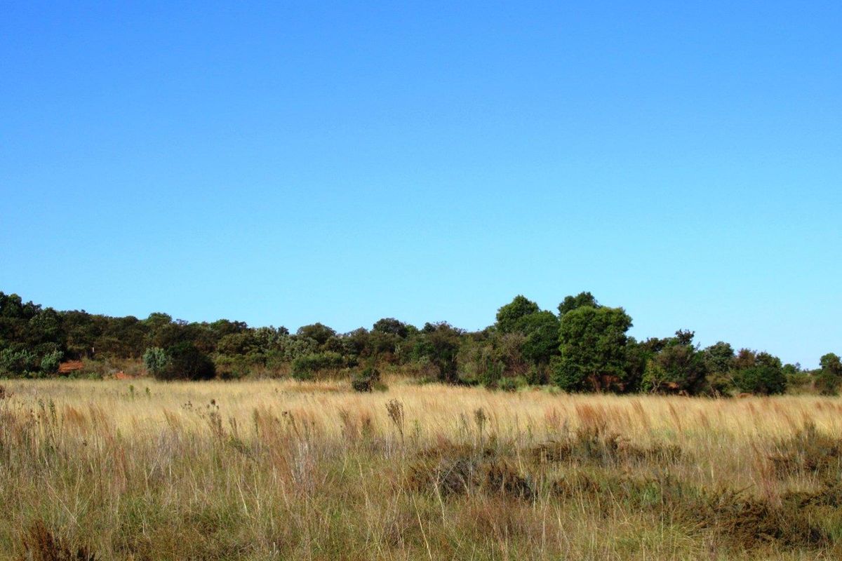 Farm For Sale in Cullinan Rural, Cullinan - Photo 3