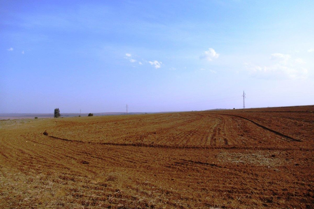 Farm For Sale in Bronkhorstspruit Rural, Bronkhorstspruit - Photo 5