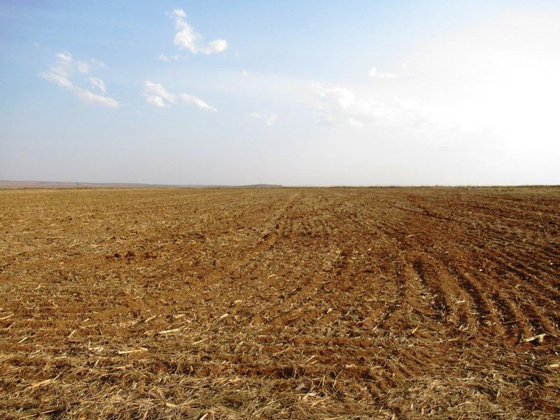 Farm For Sale in Bronkhorstspruit Rural, Bronkhorstspruit - Photo 9