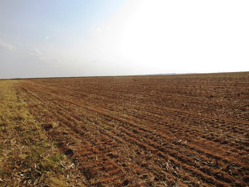 Farm For Sale in Bronkhorstspruit Rural, Bronkhorstspruit - Photo 6