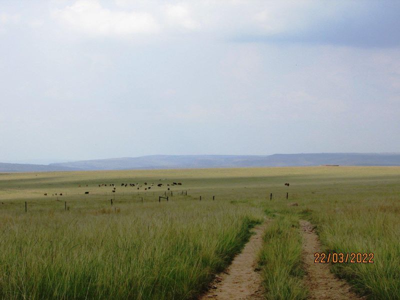 Farm For Sale in Bronkhorstspruit Rural, Bronkhorstspruit - Photo 10