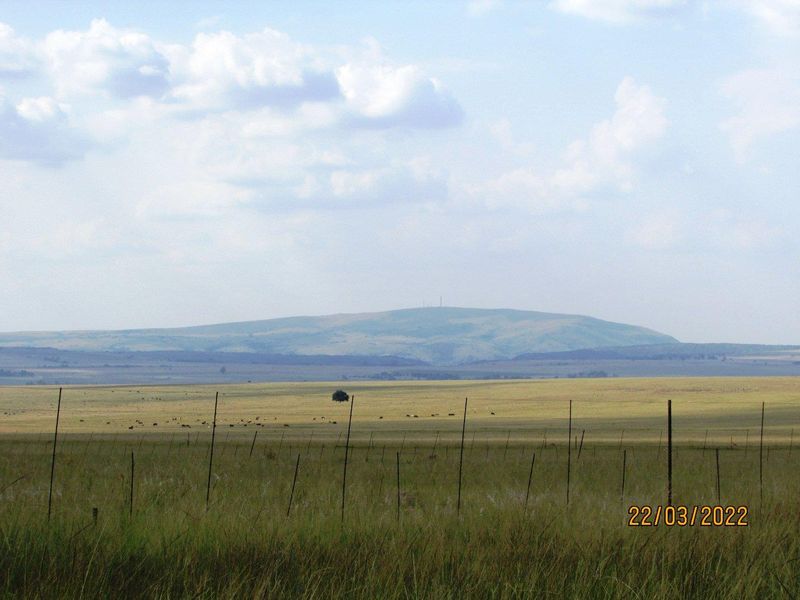 Farm For Sale in Bronkhorstspruit Rural, Bronkhorstspruit - Photo 9