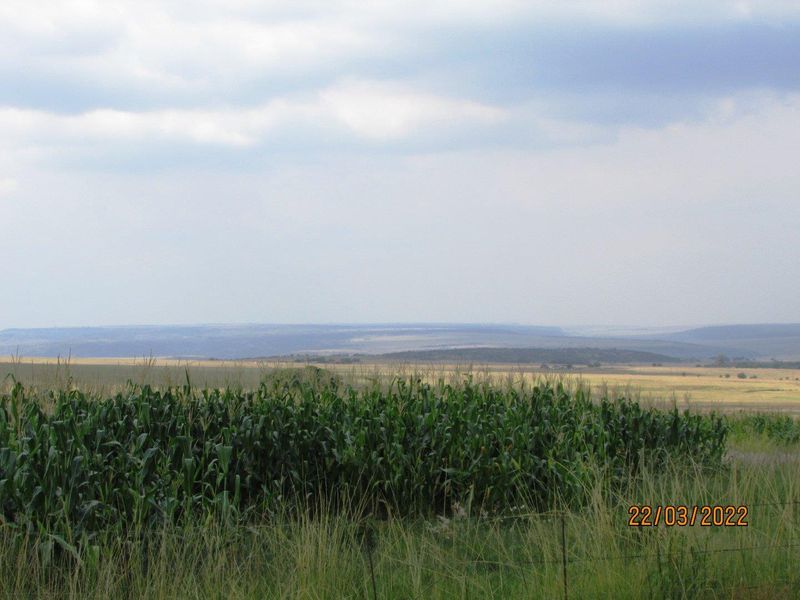 Farm For Sale in Bronkhorstspruit Rural, Bronkhorstspruit - Photo 2