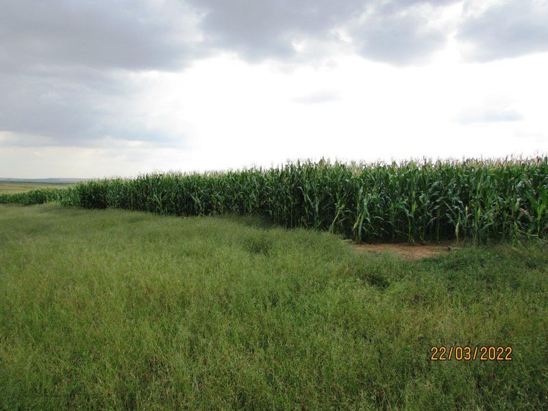 Farm For Sale in Bronkhorstspruit Rural, Bronkhorstspruit - Photo 6