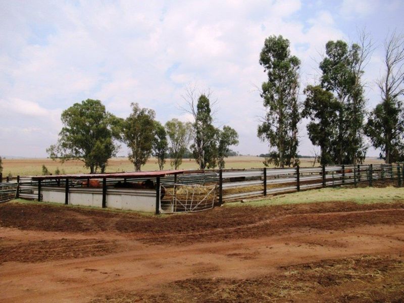 Farm For Sale in Bronkhorstspruit Rural, Bronkhorstspruit - Photo 7