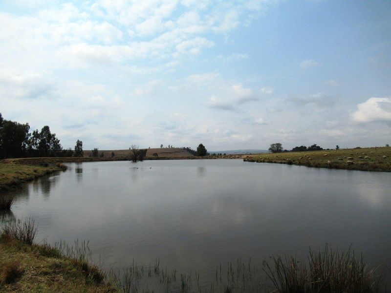 Farm For Sale in Bronkhorstspruit Rural, Bronkhorstspruit - Photo 3