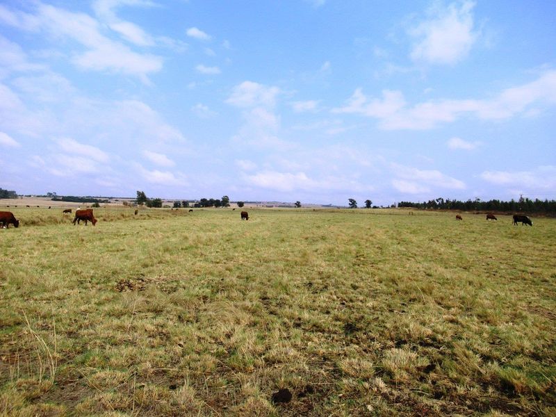 Farm For Sale in Bronkhorstspruit Rural, Bronkhorstspruit - Photo 2