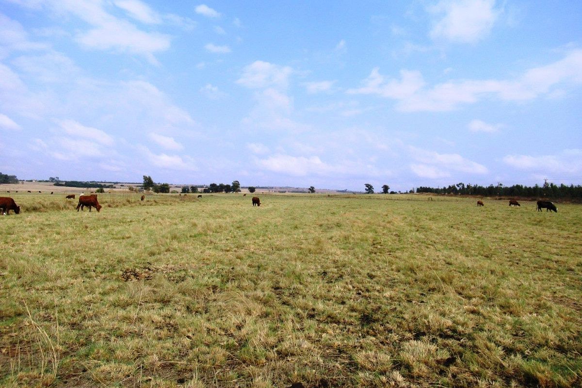 Farm For Sale in Bronkhorstspruit Rural, Bronkhorstspruit - Photo 2