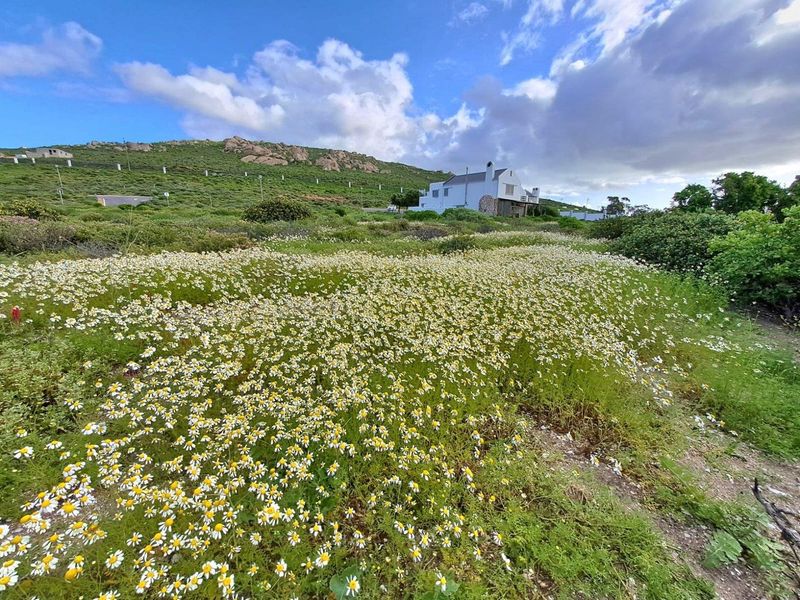 Vacant Land For Sale in St Helena Views, St Helena Bay - Photo 8