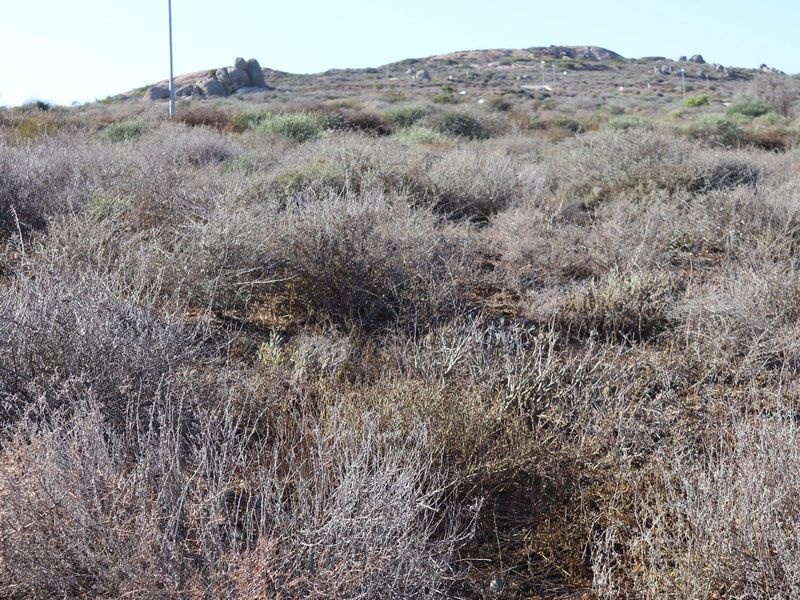 Vacant Land For Sale in St Helena Views, St Helena Bay - Photo 7