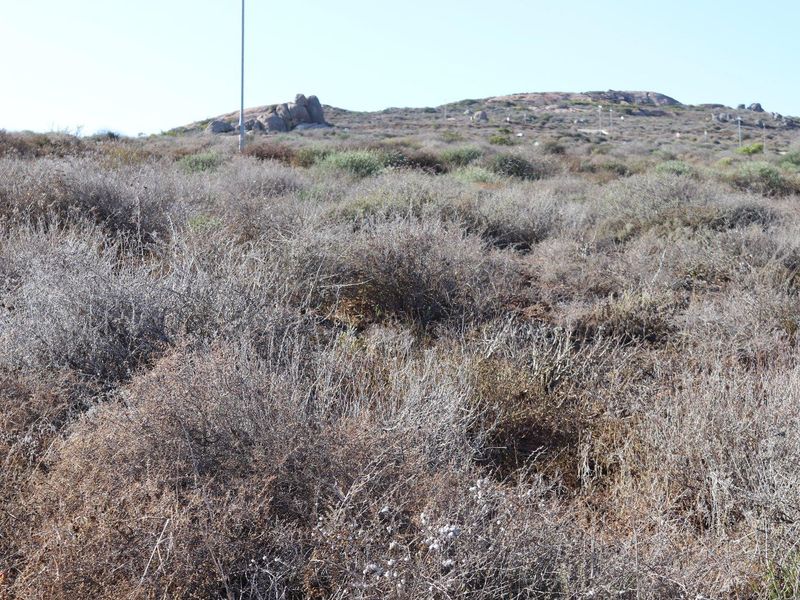 Vacant Land For Sale in St Helena Views, St Helena Bay - Photo 5