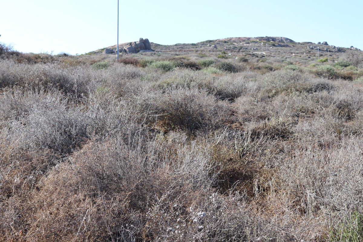 Vacant Land For Sale in St Helena Views, St Helena Bay - Photo 5