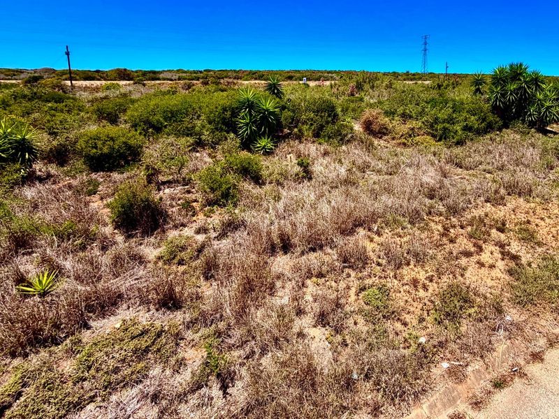 975 m2 Residential Stand | Listed by Danté Koen, eXp Realty - Photo 3