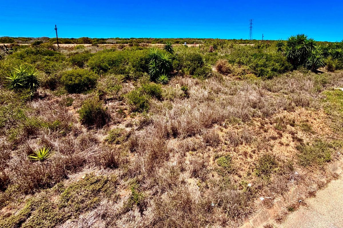 975 m2 Residential Stand | Listed by Danté Koen, eXp Realty - Photo 3