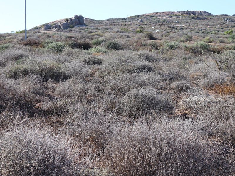 Vacant Land For Sale in St Helena Views, St Helena Bay - Photo 3