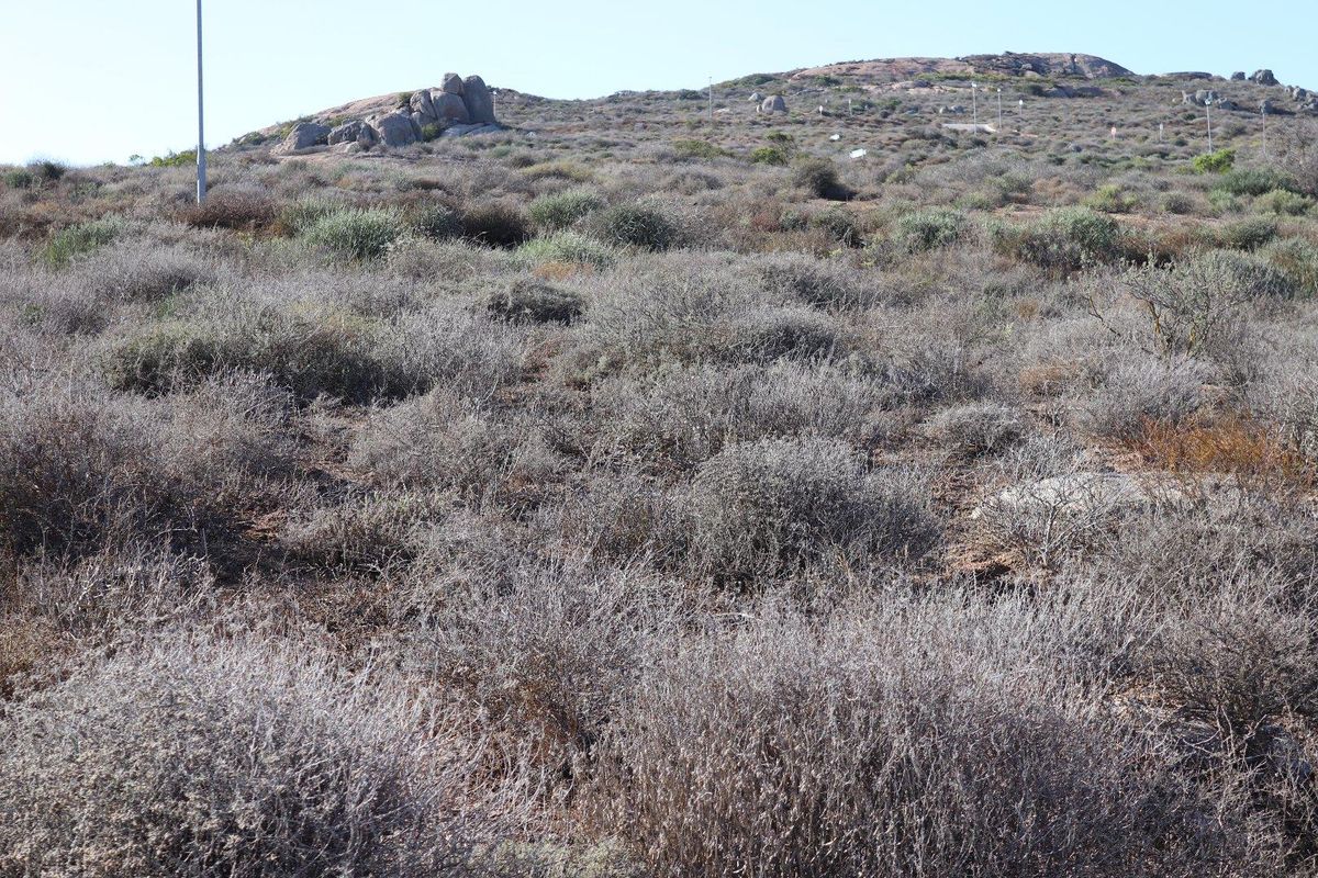 Vacant Land For Sale in St Helena Views, St Helena Bay - Photo 3