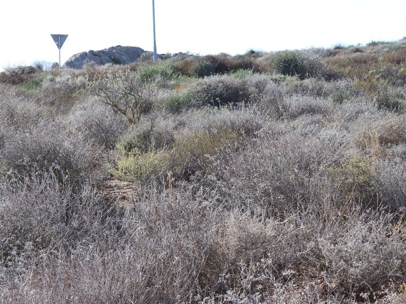 Vacant Land For Sale in St Helena Views, St Helena Bay - Photo 4