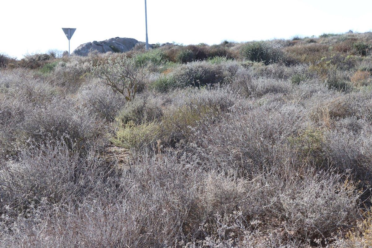 Vacant Land For Sale in St Helena Views, St Helena Bay - Photo 4