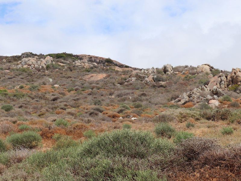 Vacant Land For Sale in St Helena Views, St Helena Bay - Photo 7