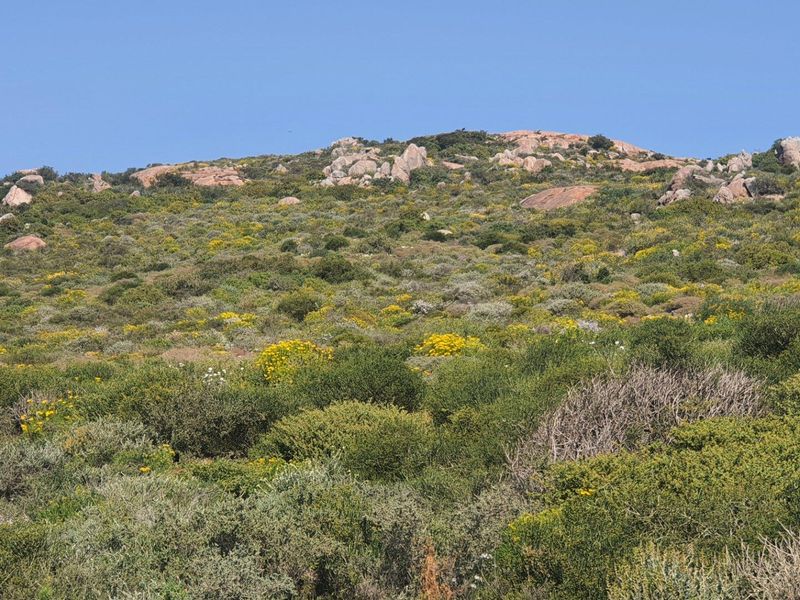 Vacant Land For Sale in St Helena Views, St Helena Bay - Photo 5