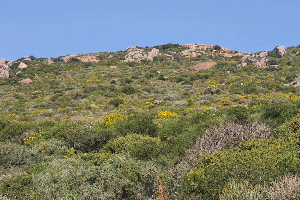 Vacant Land For Sale in St Helena Views, St Helena Bay - Photo 5