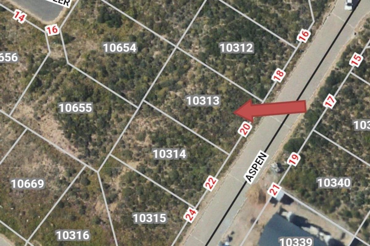 Aerial view of vacant residential plot 10313, showing property boundaries and surrounding street layout in a residential estate.