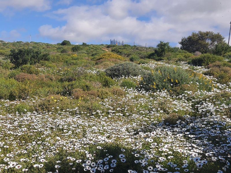 Vacant Land For Sale in St Helena Views, St Helena Bay - Photo 1