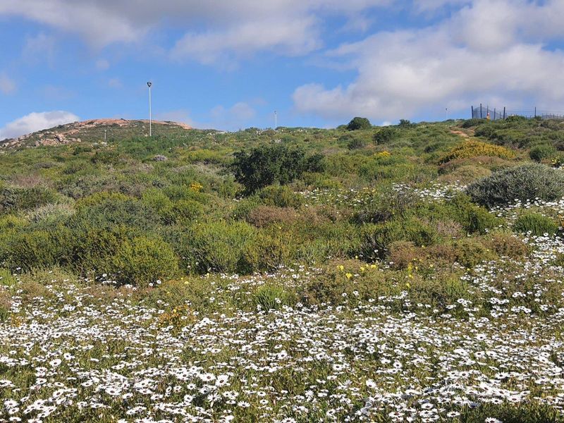 Vacant Land For Sale in St Helena Views, St Helena Bay - Photo 5