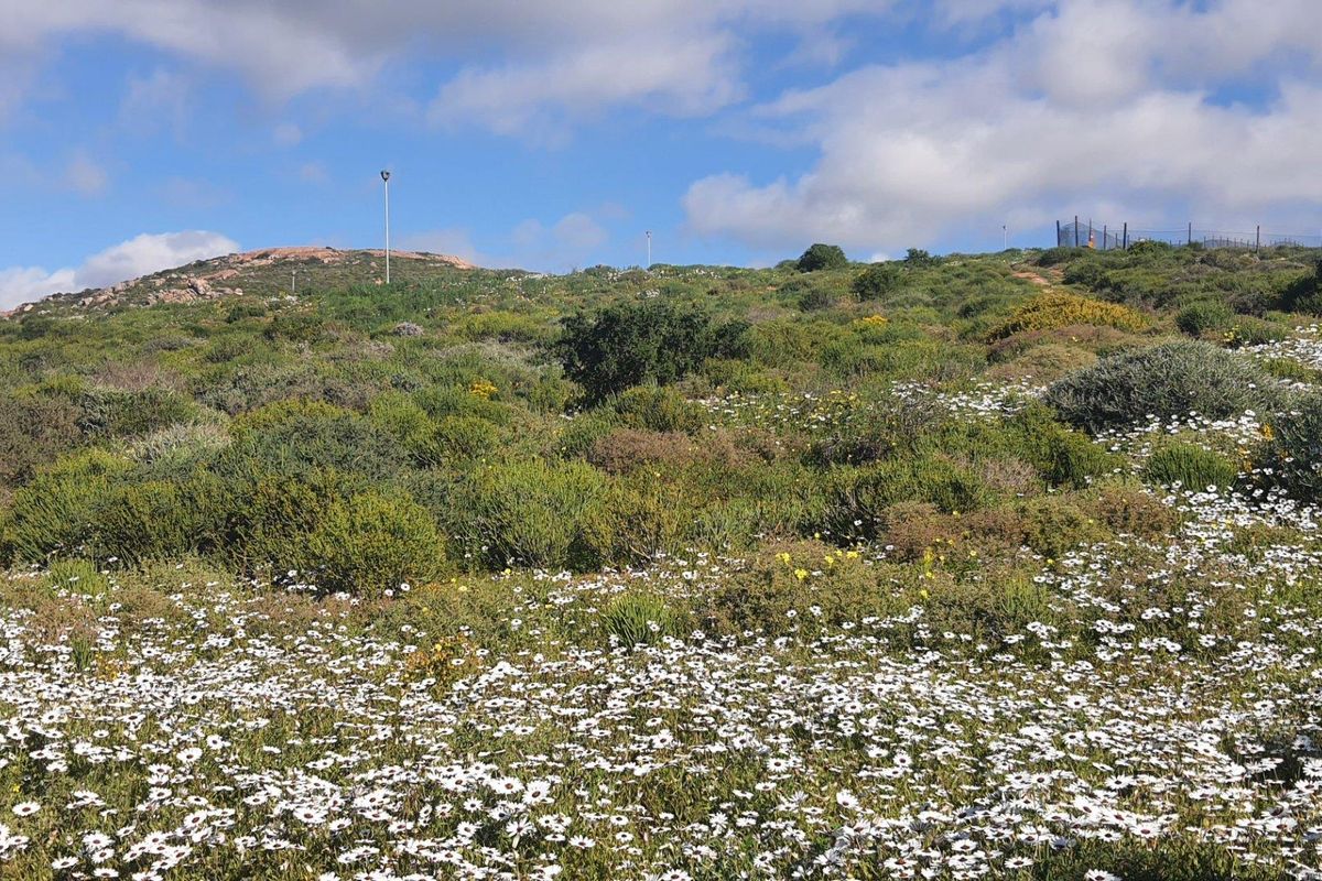 Vacant Land For Sale in St Helena Views, St Helena Bay - Photo 5