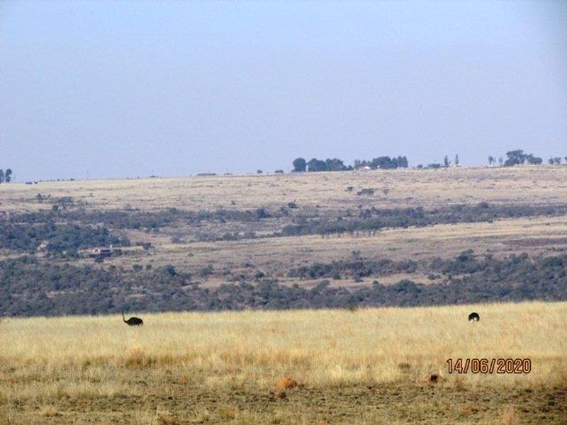Farm For Sale in Bronkhorstspruit Rural, Bronkhorstspruit - Photo 6