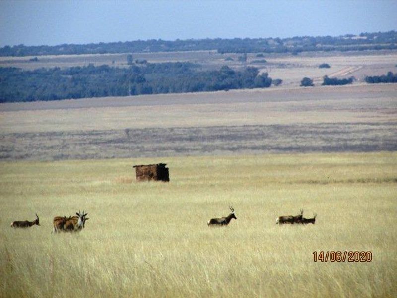 Farm For Sale in Bronkhorstspruit Rural, Bronkhorstspruit - Photo 7