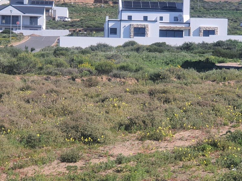 A view of a vacant residential plot featuring natural vegetation, situated in a developed neighborhood with surrounding residential properties.