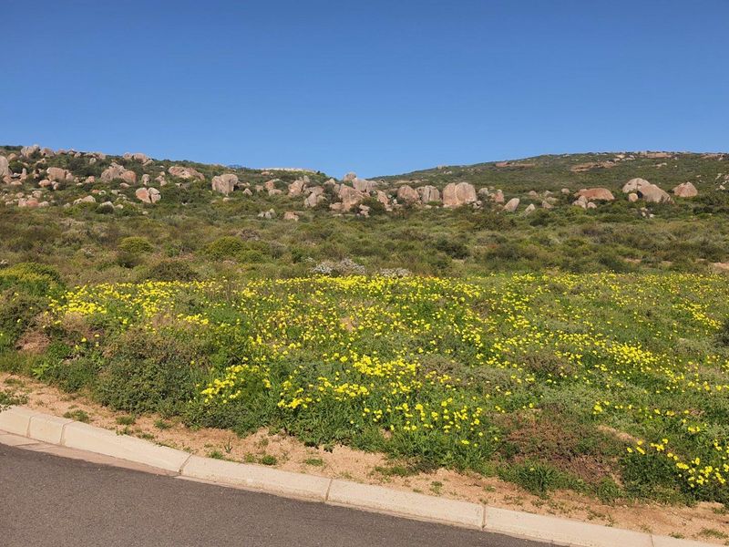Vacant Land For Sale in St Helena Views, St Helena Bay - Photo 3