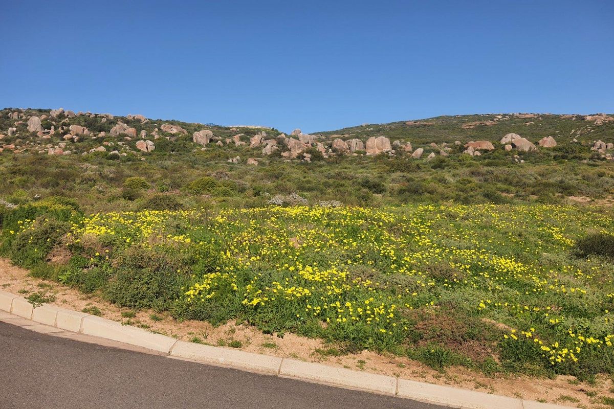 Vacant Land For Sale in St Helena Views, St Helena Bay - Photo 3