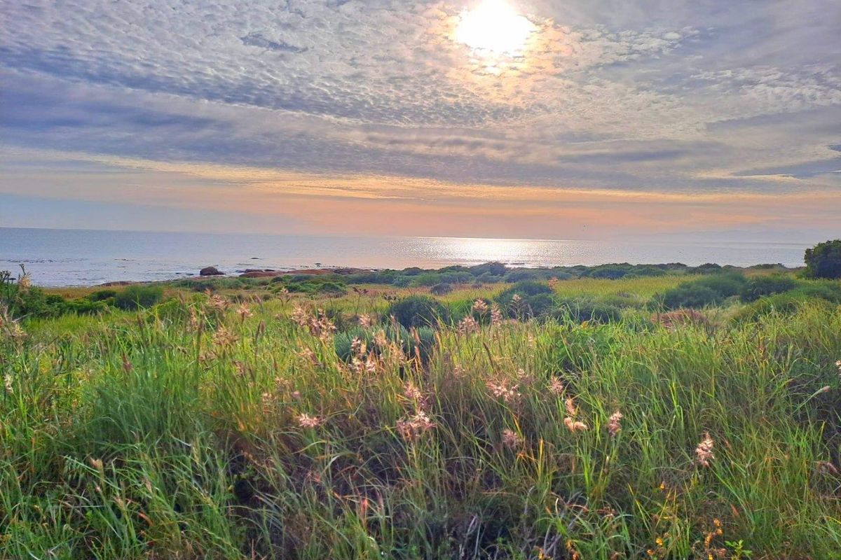 Vacant Land For Sale in St Helena Views, St Helena Bay - Photo 4