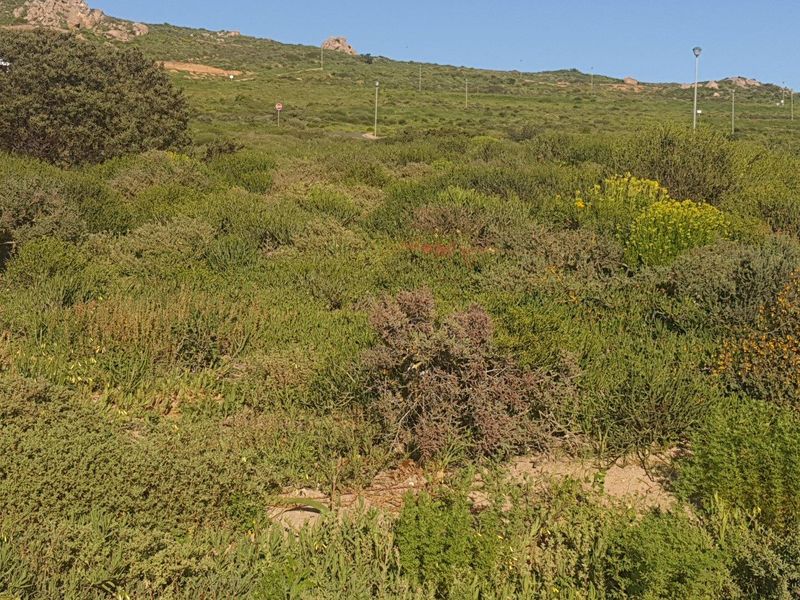Vacant Land For Sale in St Helena Views, St Helena Bay - Photo 3
