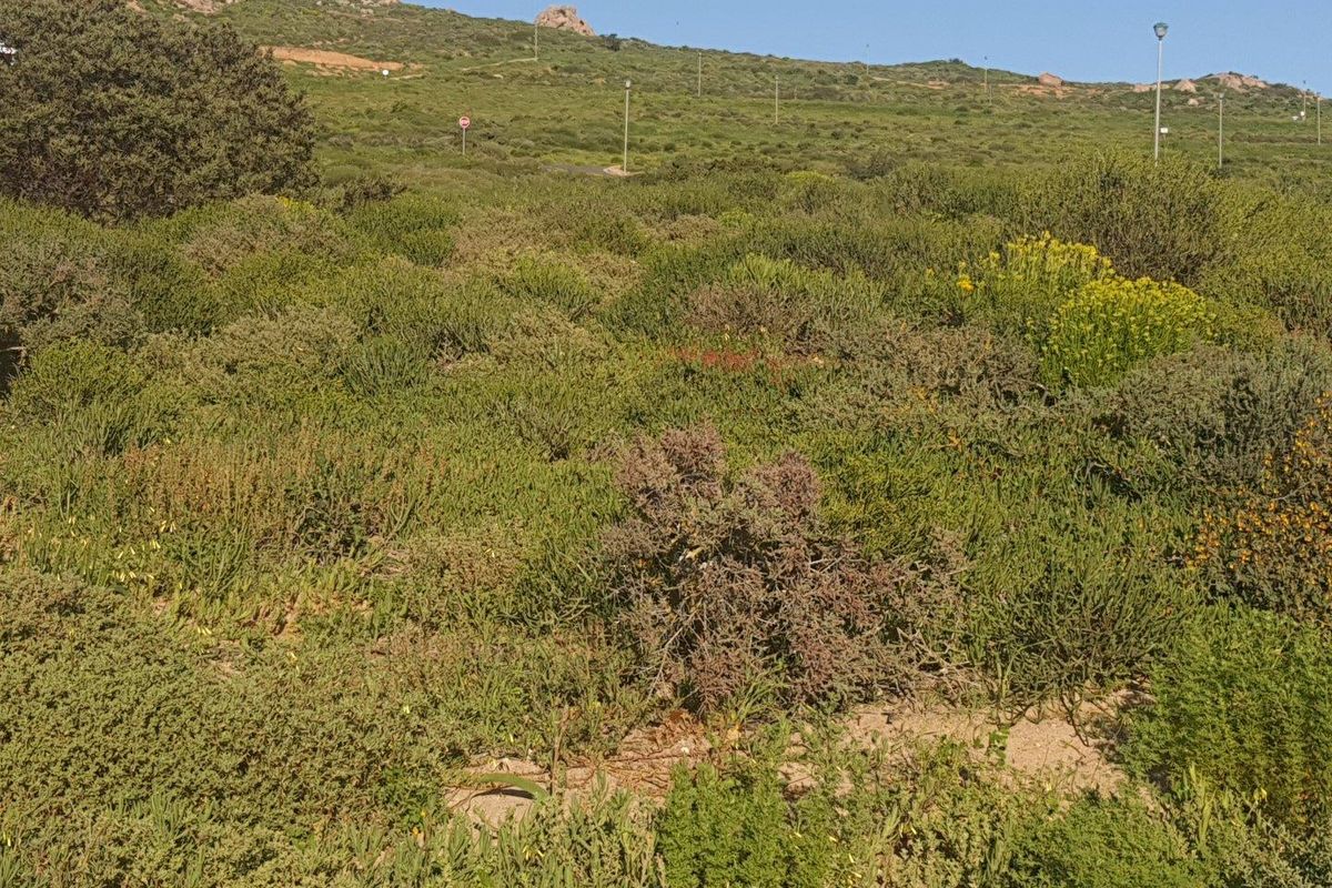A view of a vacant residential plot featuring natural coastal vegetation and hilly terrain in the background.