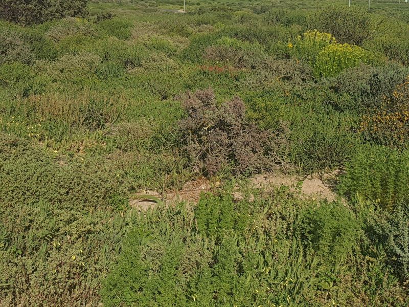 Vacant Land For Sale in St Helena Views, St Helena Bay - Photo 4
