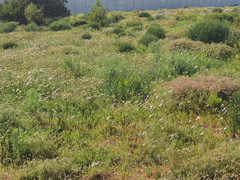 Vacant Land For Sale in St Helena Views, St Helena Bay - Photo 3