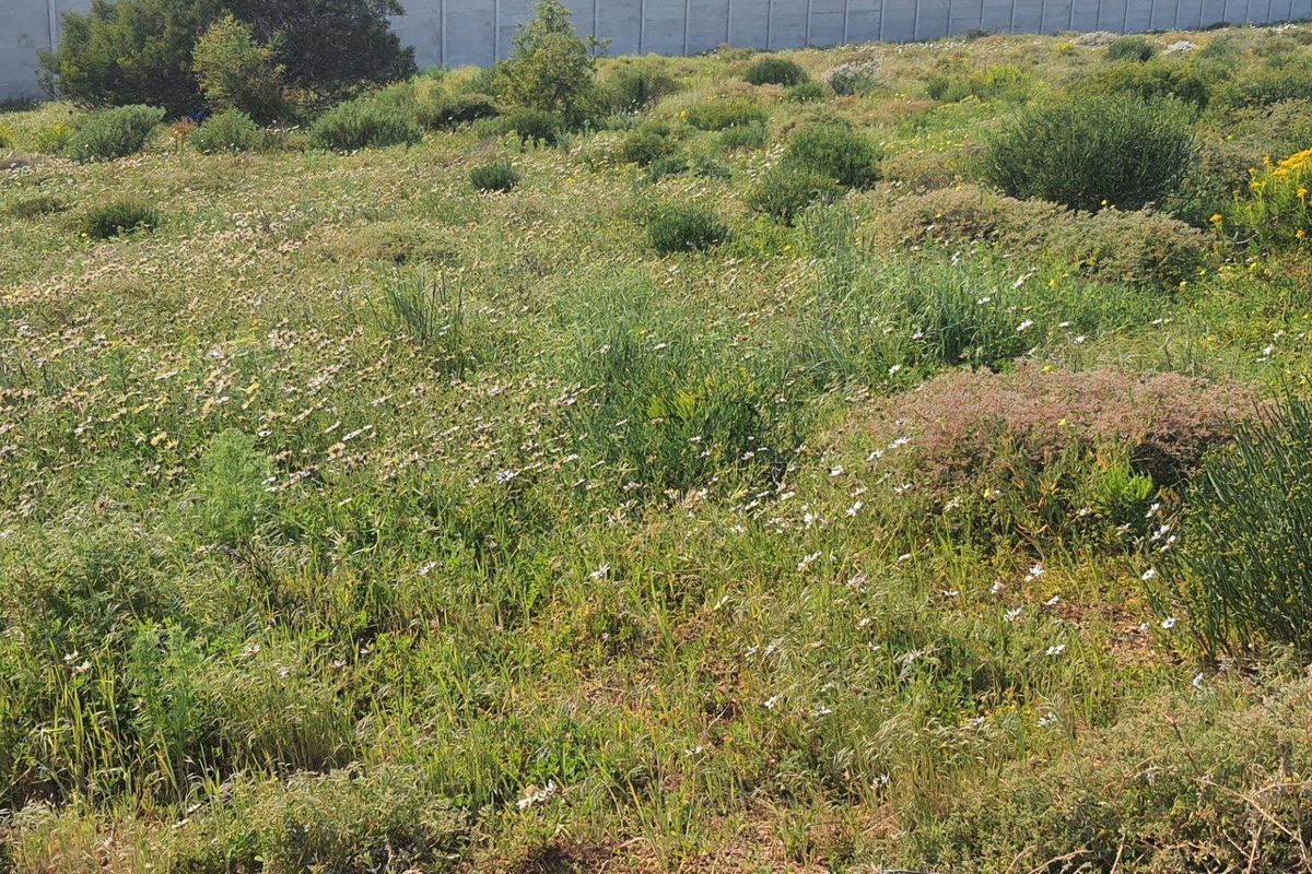 Vacant Land For Sale in St Helena Views, St Helena Bay - Photo 3