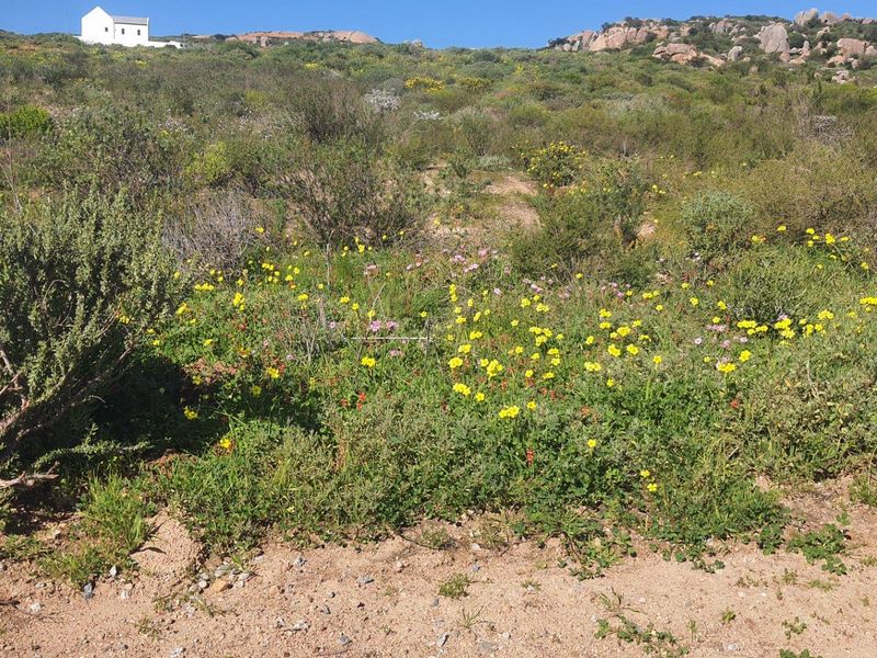 Vacant Land For Sale in St Helena Views, St Helena Bay - Photo 3