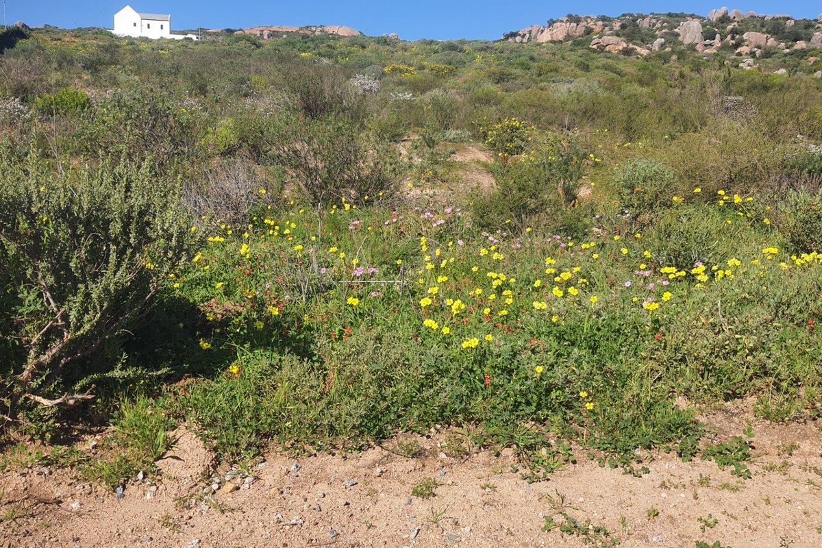 Vacant Land For Sale in St Helena Views, St Helena Bay - Photo 3