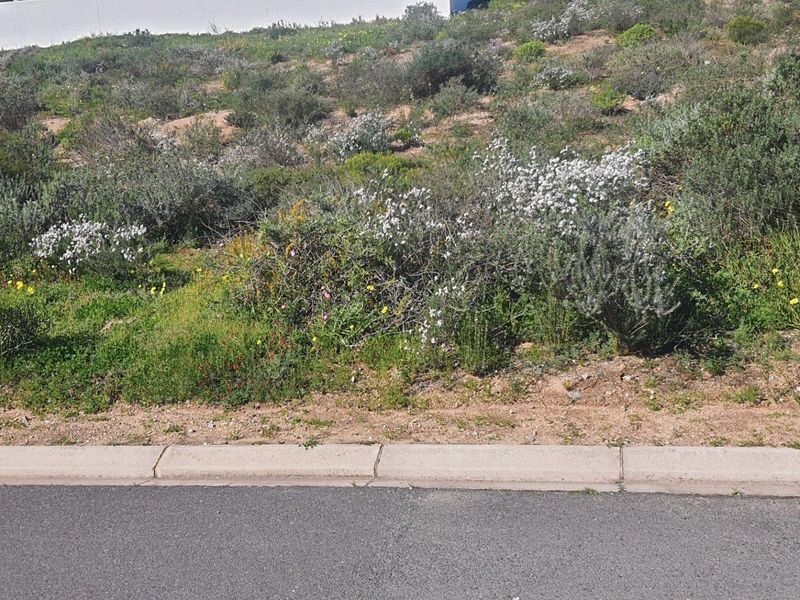 Vacant Land For Sale in St Helena Views, St Helena Bay - Photo 3