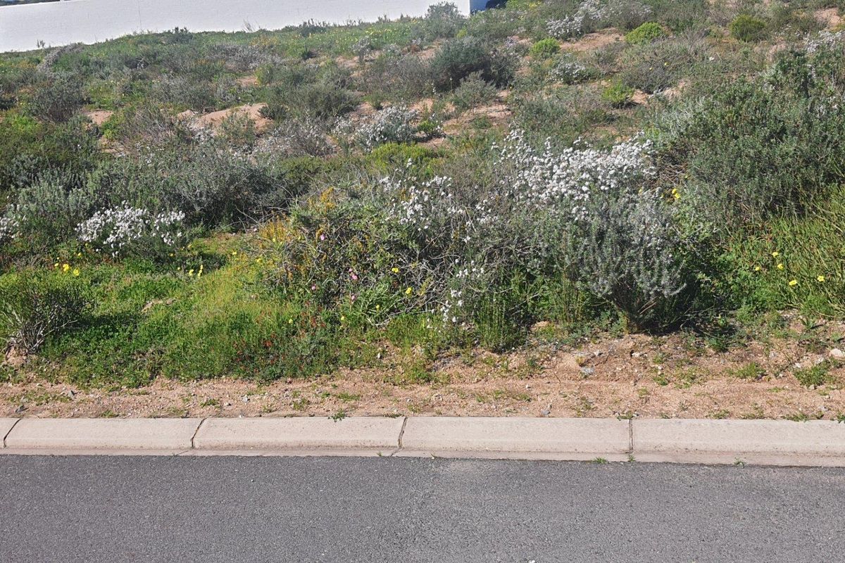 Vacant Land For Sale in St Helena Views, St Helena Bay - Photo 3
