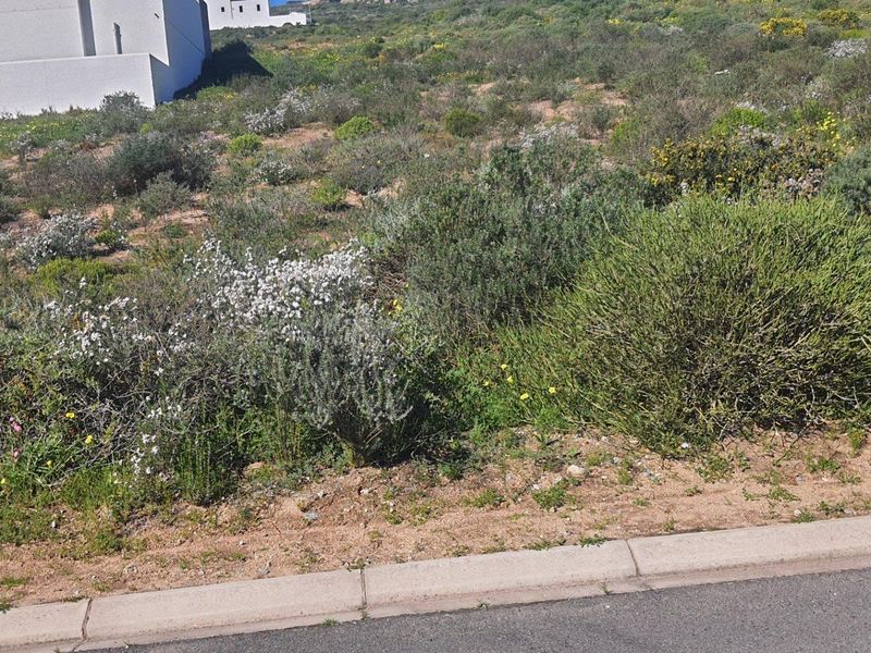 Vacant Land For Sale in St Helena Views, St Helena Bay - Photo 4