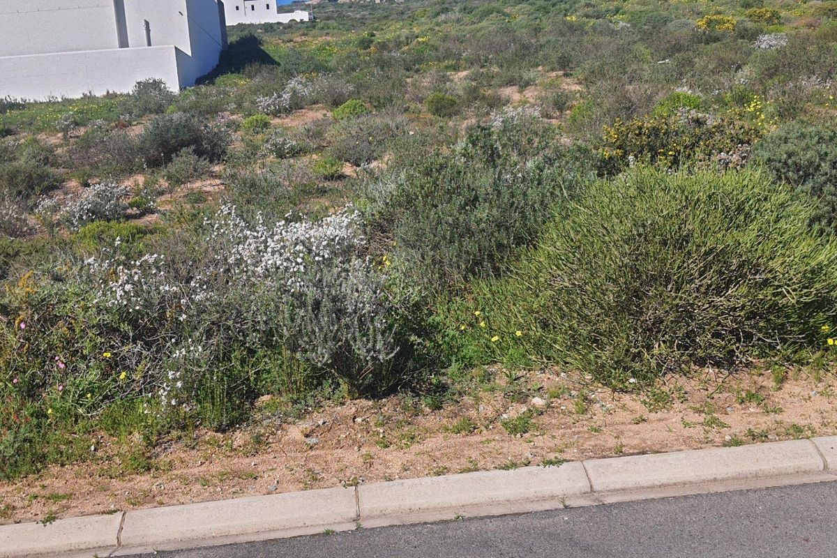 Vacant Land For Sale in St Helena Views, St Helena Bay - Photo 4
