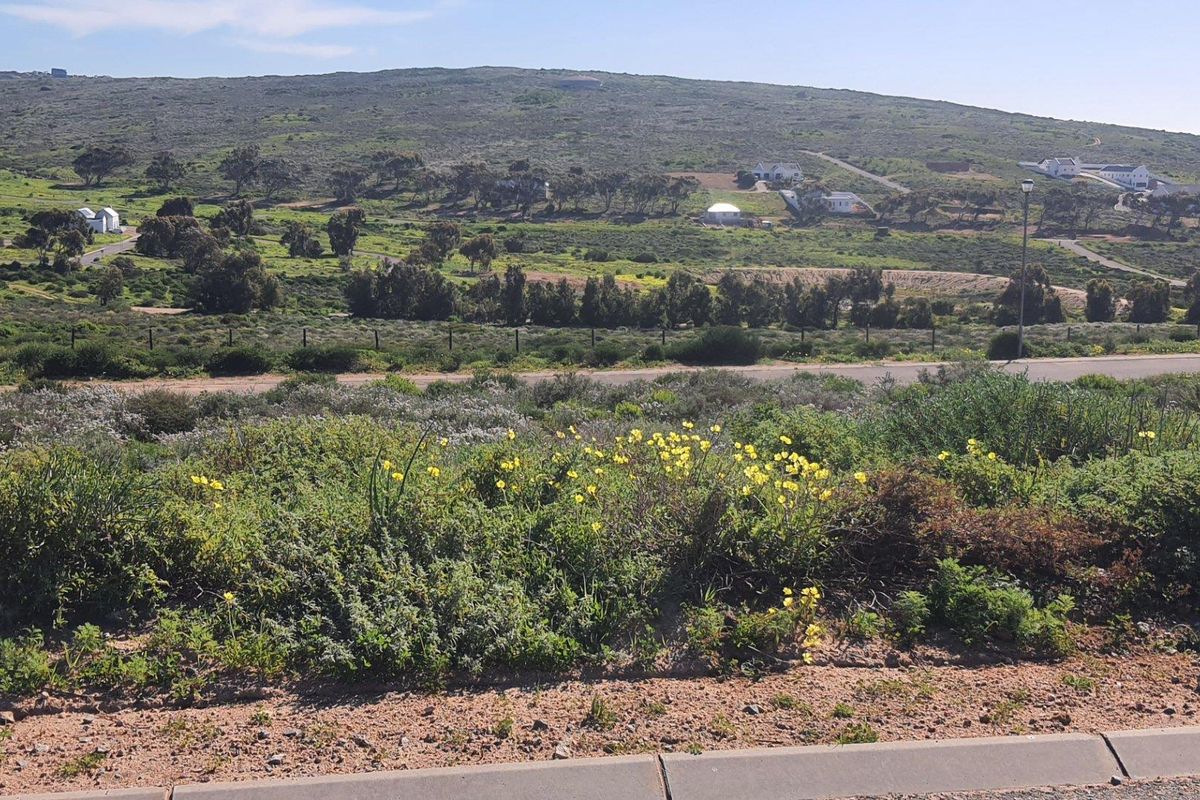 Vacant Land For Sale in St Helena Views, St Helena Bay - Photo 5
