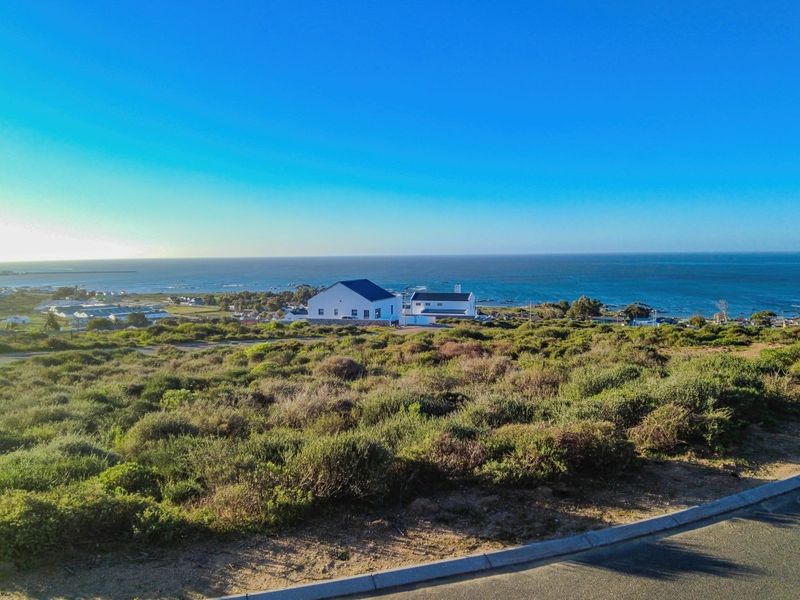 Elevated view overlooking a coastal landscape with native vegetation and distant ocean horizon.